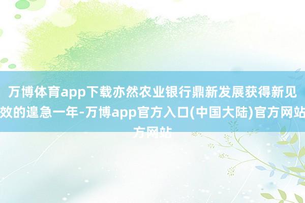 万博体育app下载亦然农业银行鼎新发展获得新见效的遑急一年-万博app官方入口(中国大陆)官方网站