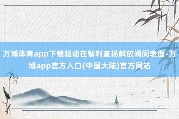 万博体育app下载驱动在智利宣扬解放阛阓表面-万博app官方入口(中国大陆)官方网站